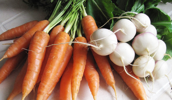 Classification des légumes : les légumes racines