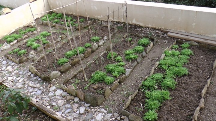 2014: Le potager