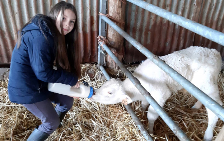 à la ferme