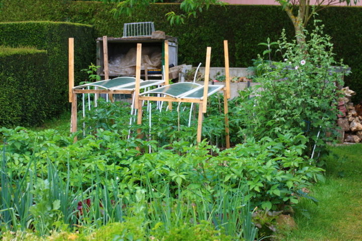 Abris pour mes tomates