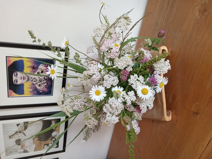 Achil&eacute;e, marguerites, foug&egrave;res
