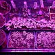 Culture sous leds horticole