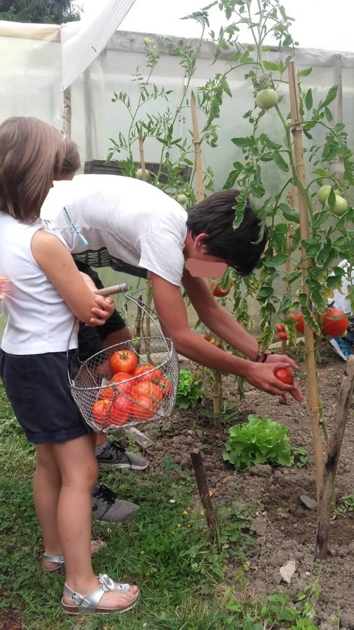 Au potager en famille