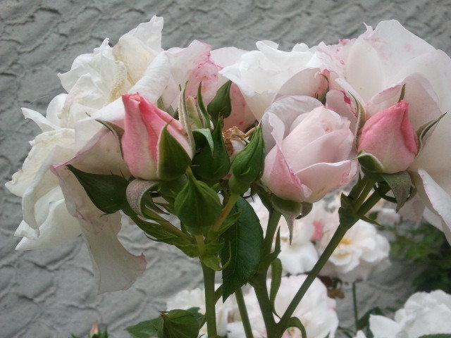 Bouquet rose et blanc