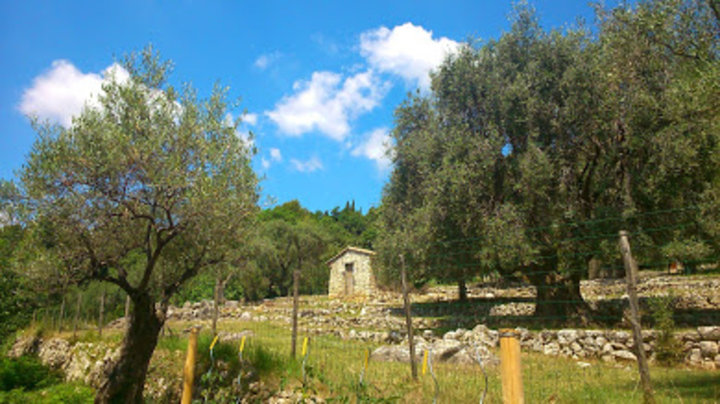 Cabane de berger