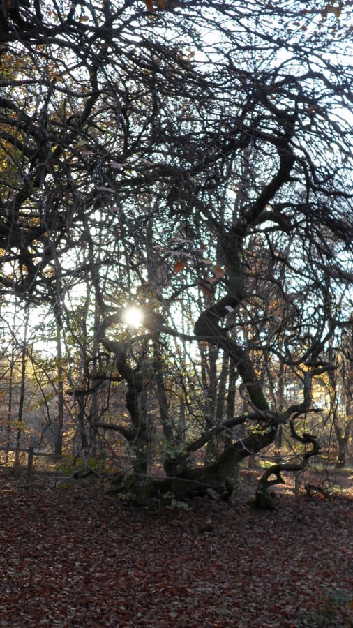 Cache-cache avec le soleil