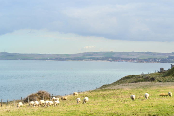 Cap gris nez