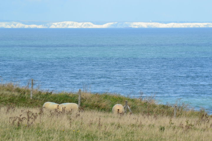 Cap gris nez