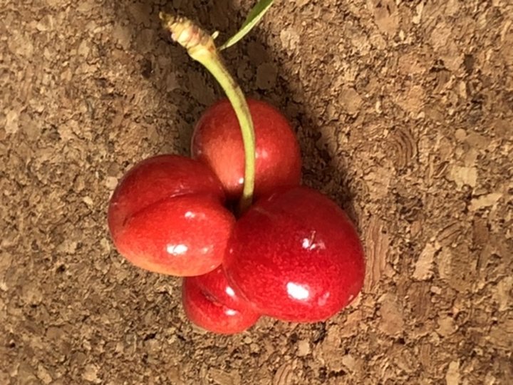 Cerises siamoises