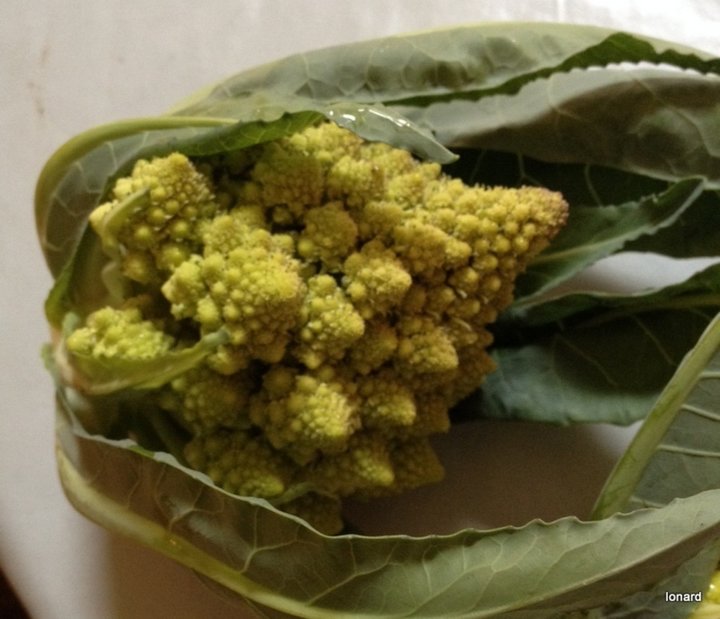 Chou Romanesco