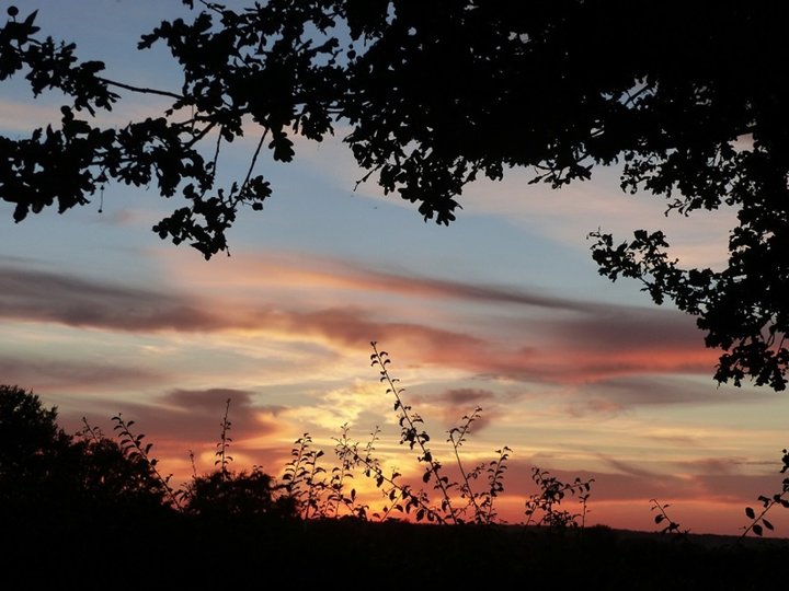 Ciel,coucher du soleil 