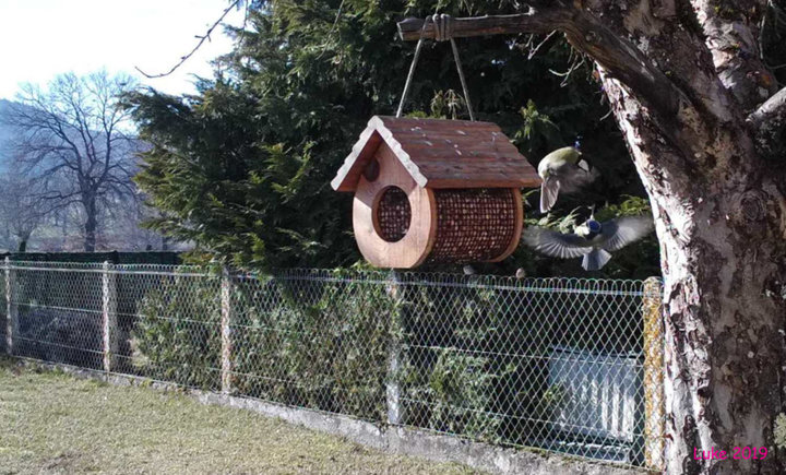 Cohabitation difficile parfois