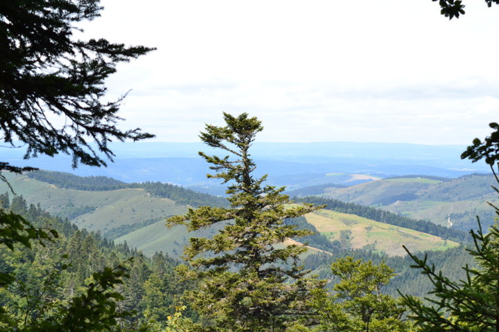 Col de la croix de bauzon