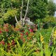 Mon jardin potager