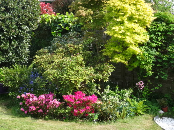 Dans le jardin aujourd'hui