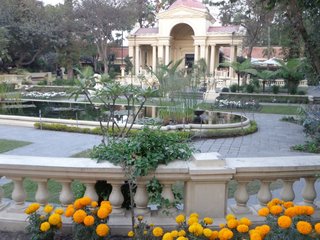 Le jardin des r&ecirc;ves - &OElig;illets d'Inde