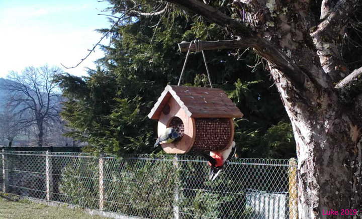 En bonne cohabitation