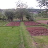 Le chantier avance