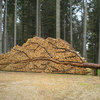 Bois pour l'hiver