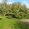 Chez nous
