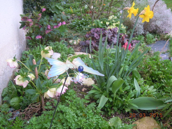 Fleurs de printemps
