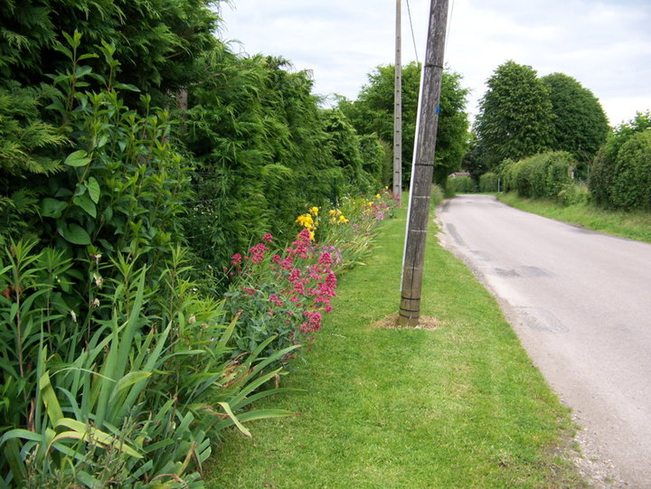 FLEURS exterieure