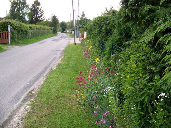 FLEURS exterieure