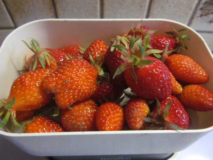 Fraises;