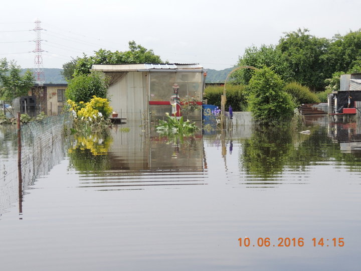 inondation du jardin ouvrier par la Seine tout perdu