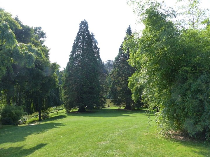 Jardin d'Apremont