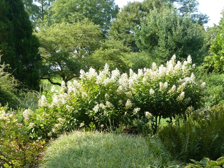 Jardin d'Apremont