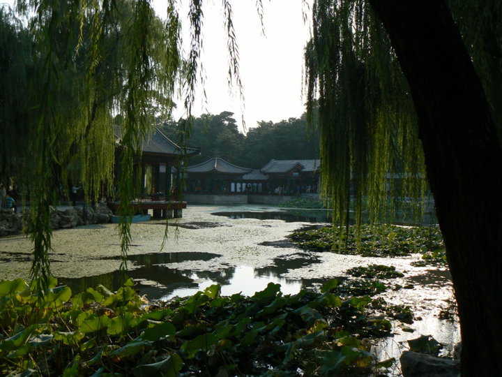 Jardin d'été