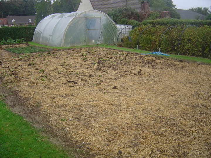 Jardin en hibernation