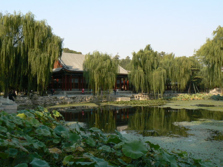 Jardin et plan d'eau!