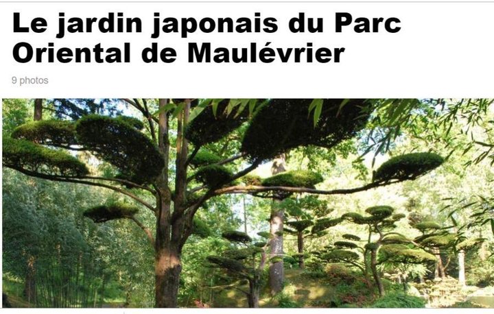 Jardin japonais