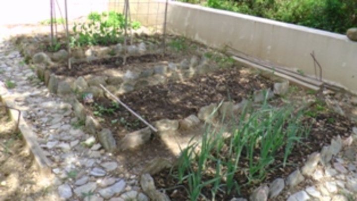 Jardin potager