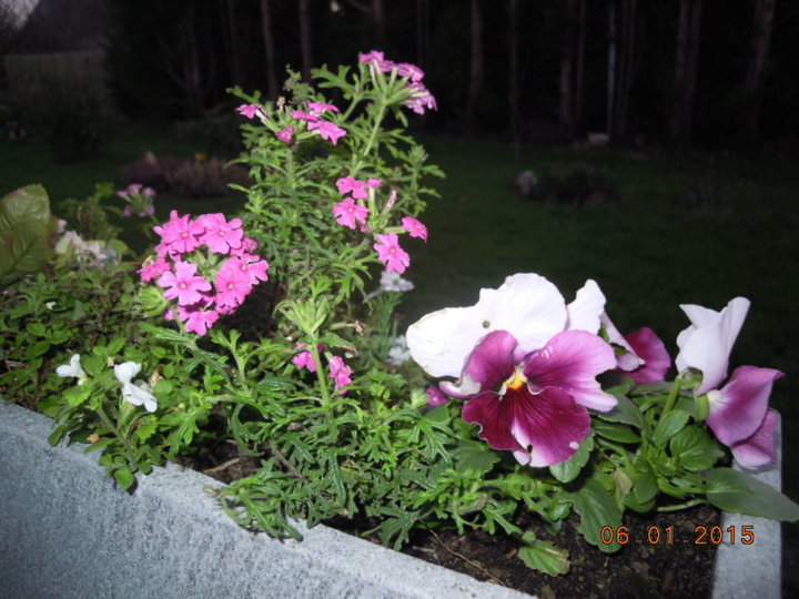 Jardiniere