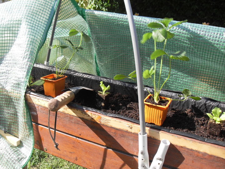 Jardinière faite 