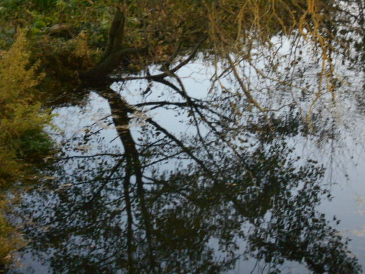 l'AURE  la rivière