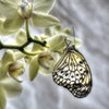 Visite des jardins des iles