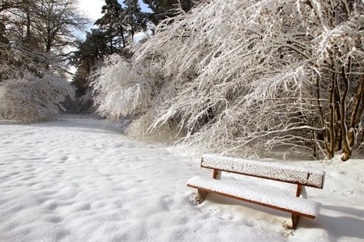  la première neige 