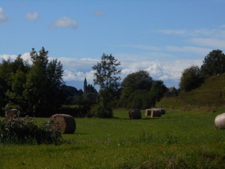 La récolte du foin