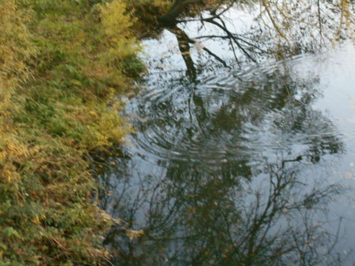 la rivière L'AURE