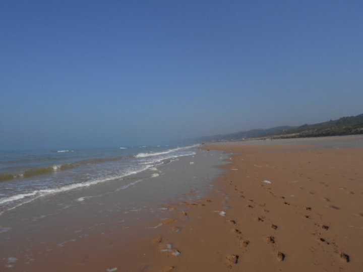 Le bord de mer