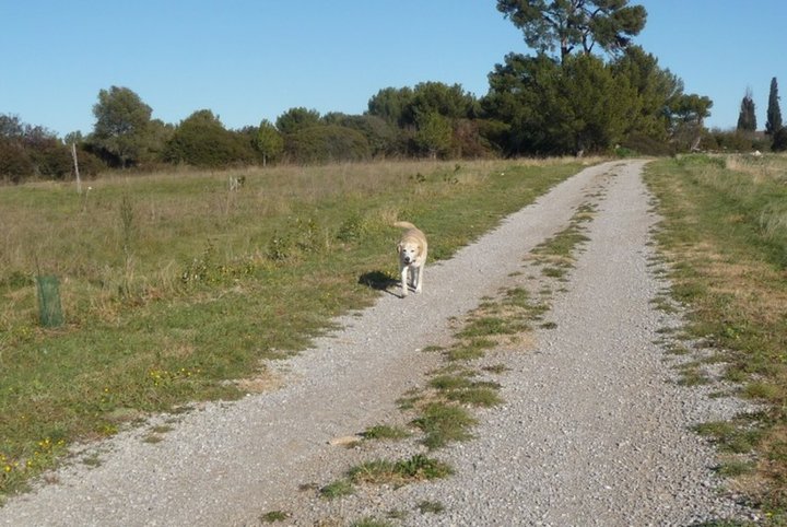 Le chemin est long