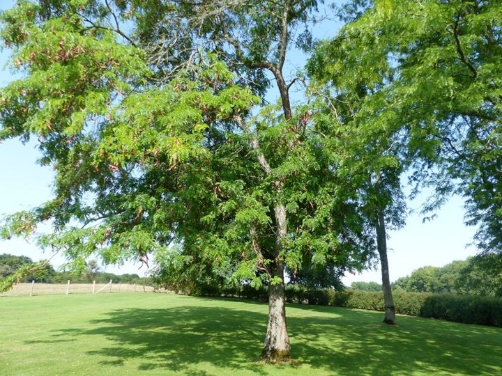 Le Jardin d'Apremont