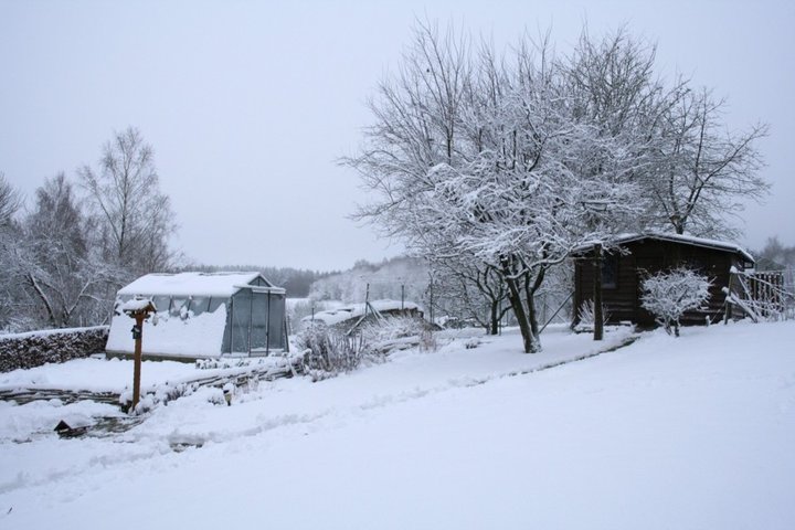 Le jardin en hiver