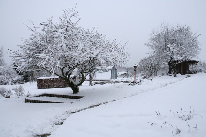 Le jardin en hiver