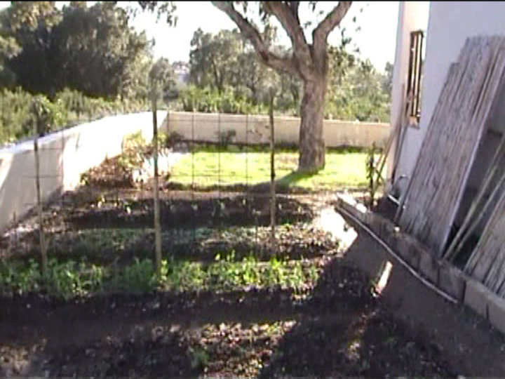 Le jardin potager à l'Est