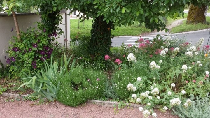 Le petit jardin de rue